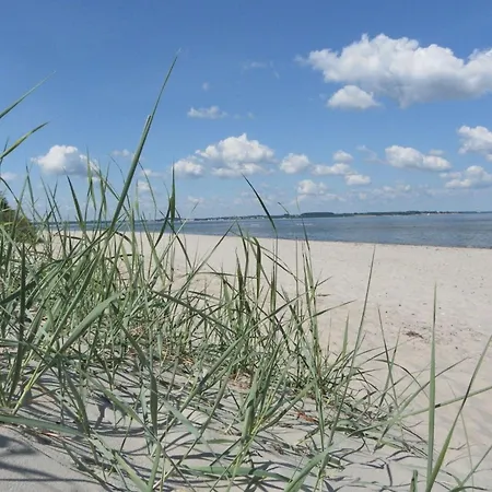 Whg Meyer1 Barendorf (Mecklenburg-Vorpommern)