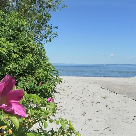 Whg Meyer1 * Barendorf (Mecklenburg-Vorpommern)